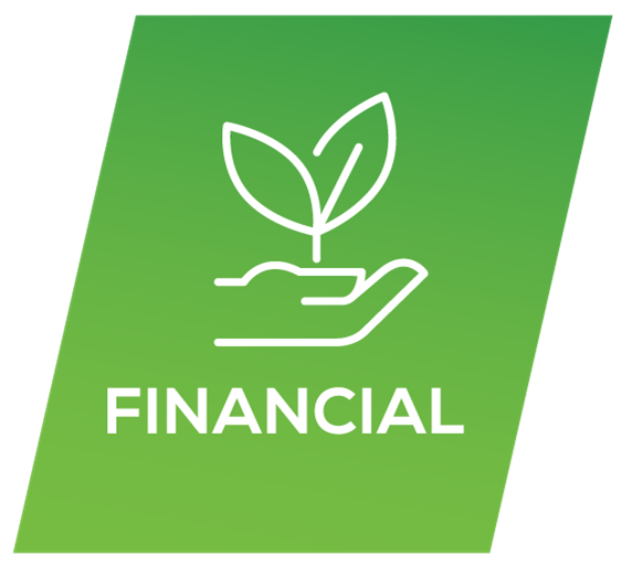 financial icon