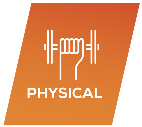 dumbbell icon